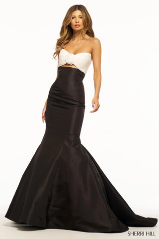 SHERRI HILL 56058